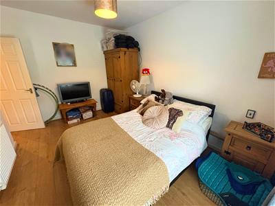 Picture 15
